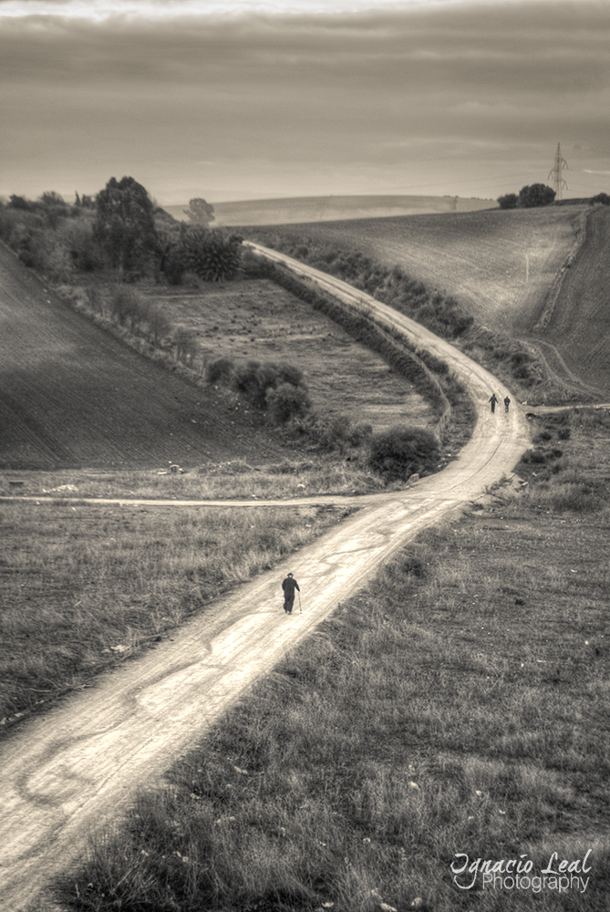 El camino - the road