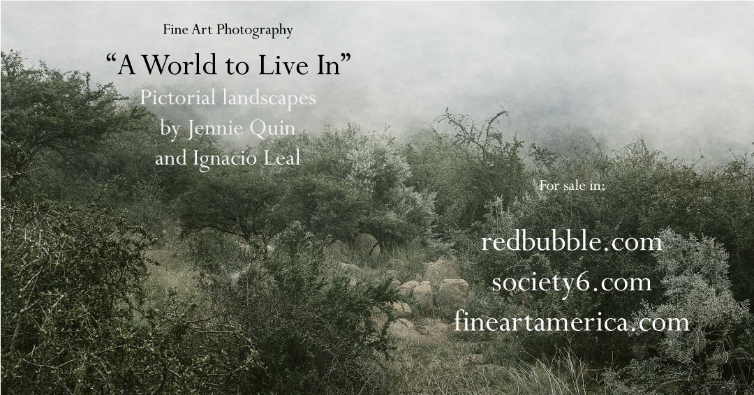 A World to Live In - new fine art photography collection