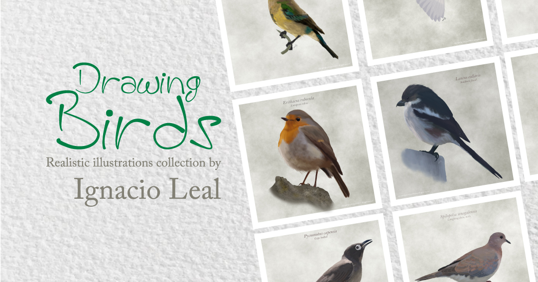 ilo-designs-drawing-birds