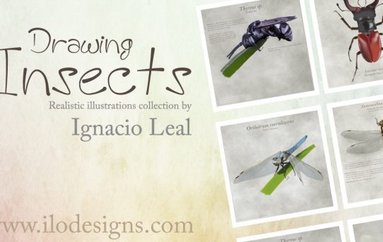 New collection of illustrated insects