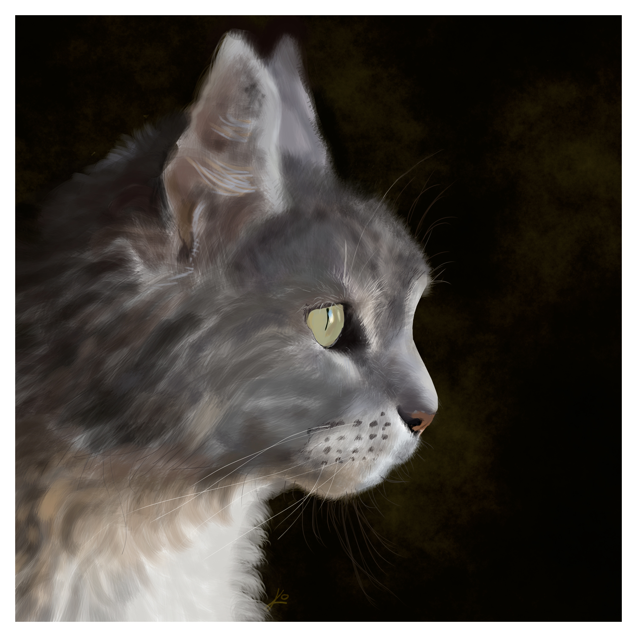 ilo-designs-cat-portrait